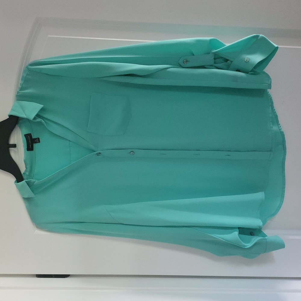 The Limited Blouse